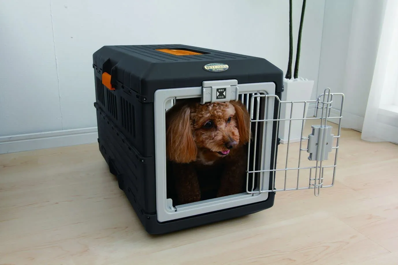Iris Ohyama FC-550 Transportbox Katze Hund S 55x31,5x36,4 schwarz