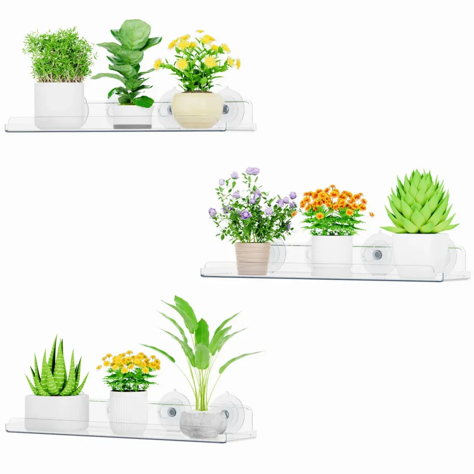 Lifewit Fenster Pflanzenregal Saugnapf Acryl 3er Pack 15 Zoll