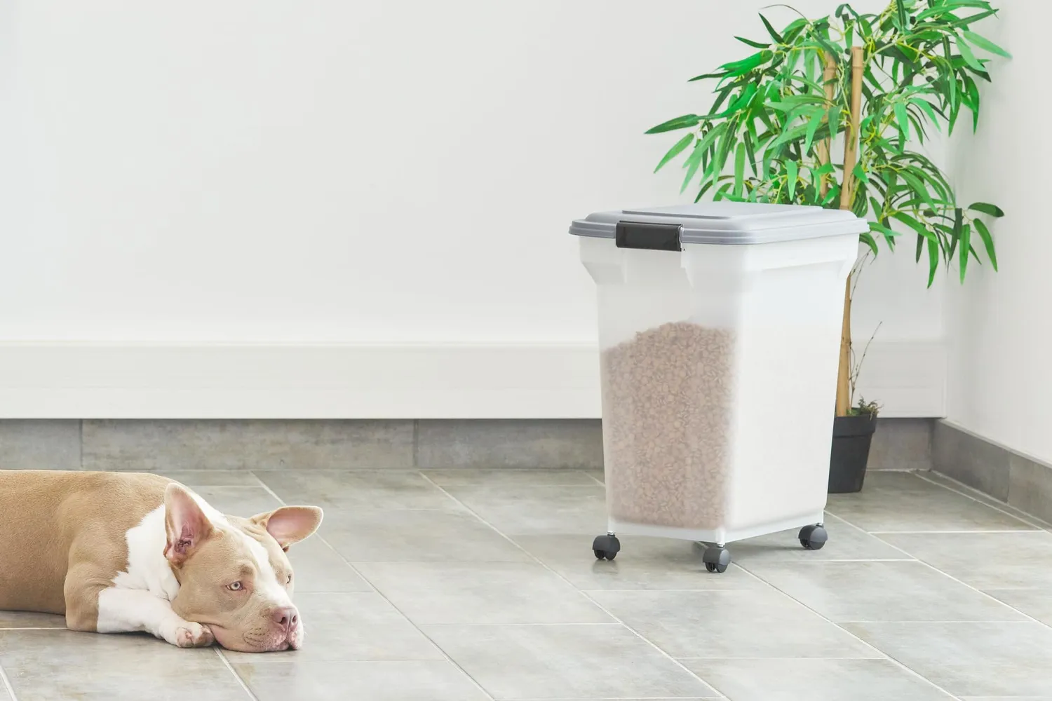 Iris Ohyama ATS-L Futterbox 45 L grau luftdicht mit Schaufel