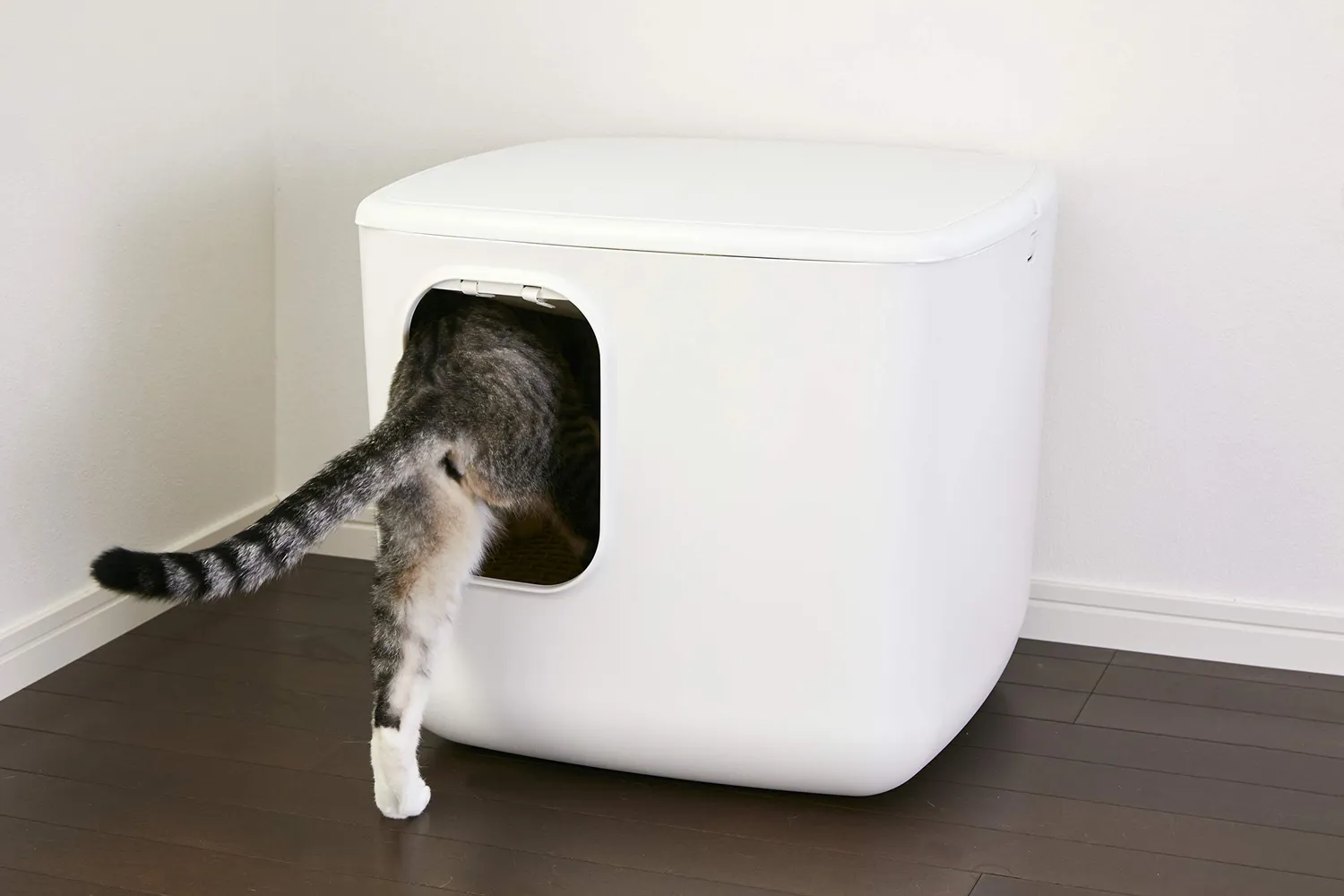 Iris Ohyama CCLB-500 Katzentoilette Weiß Beige geschlossen