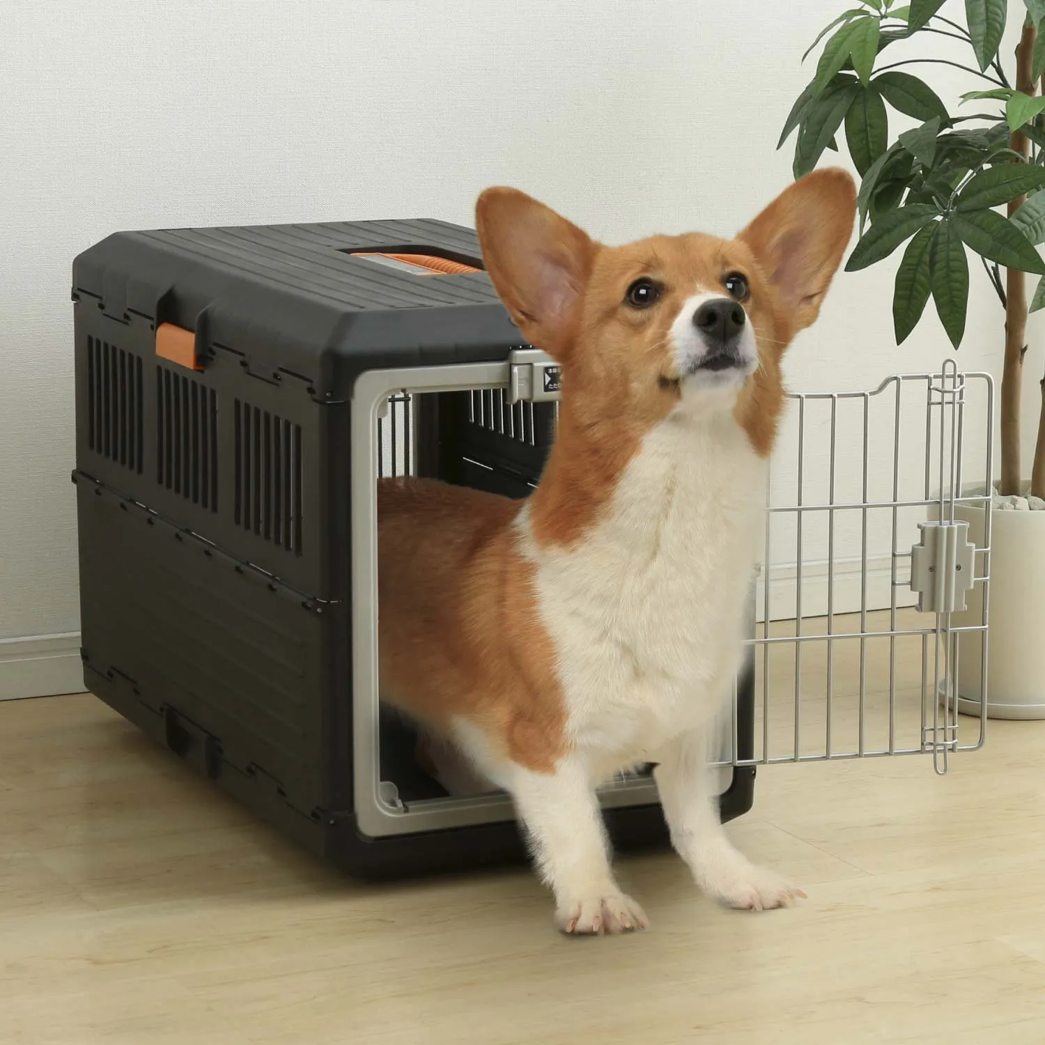 Iris Ohyama Pet Carry FC-670 Transportbox schwarz bis 20 kg faltbar