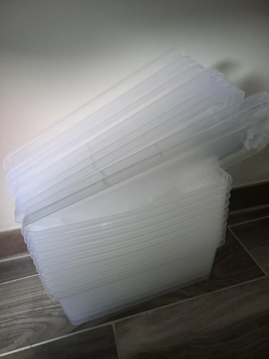Iris Ohyama Aufbewahrungsbox 5L 10er-Set Transparent Deckel