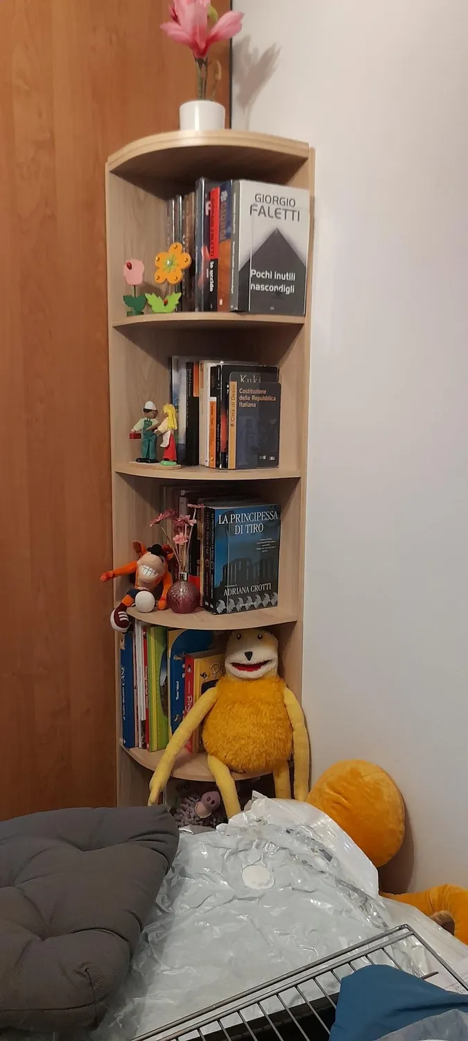 Iris Ohyama CX-4 Bücherregal 4 Fächer hellbraun schmal