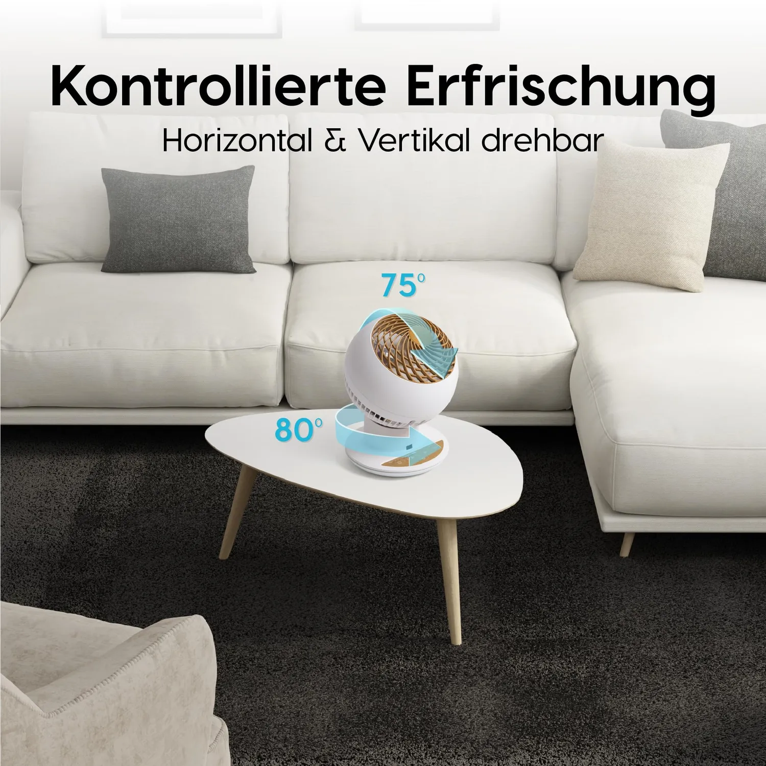 Iris Ohyama Woozoo PCF-SC15T Tischventilator Weiß-Holz leise