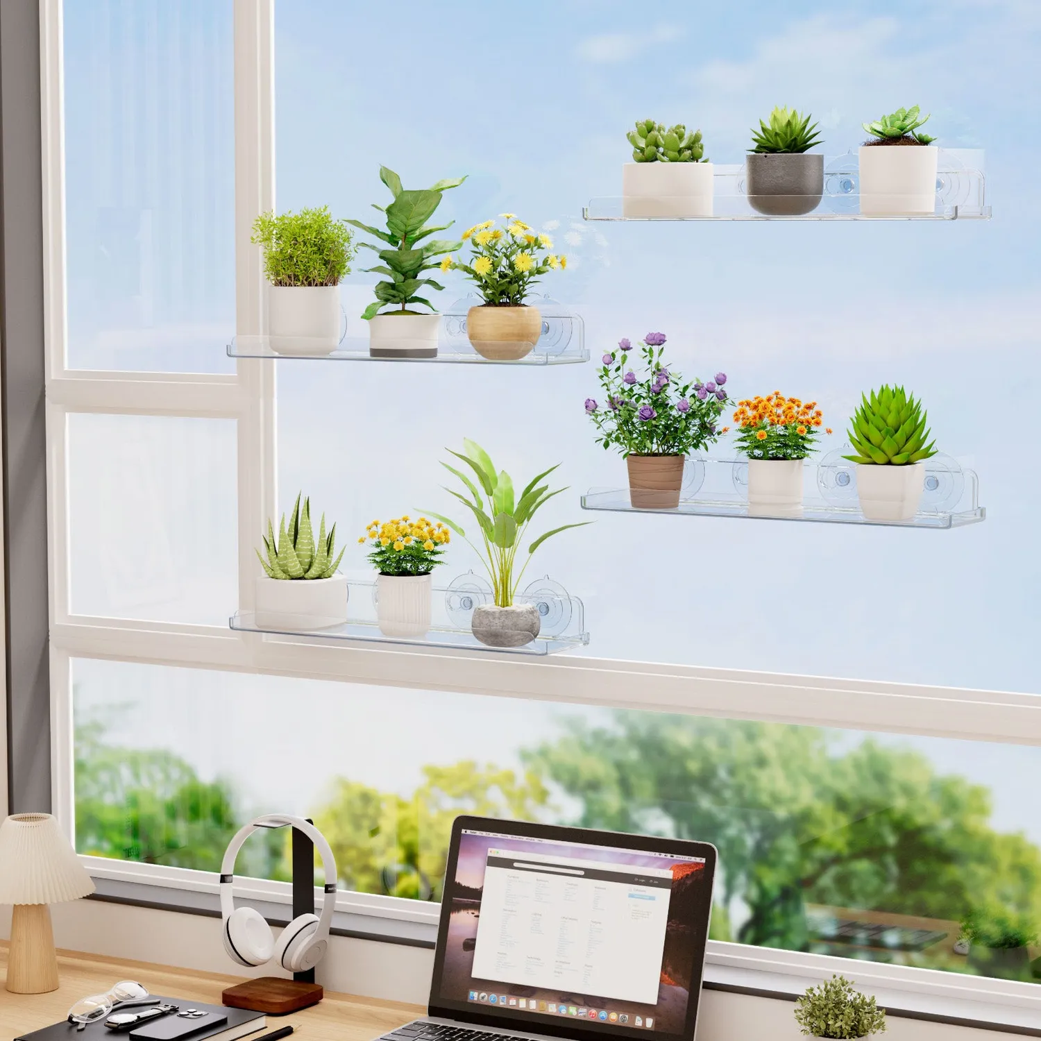 Lifewit Fenster Pflanzenregal Saugnapf Acryl 3er Pack 15 Zoll