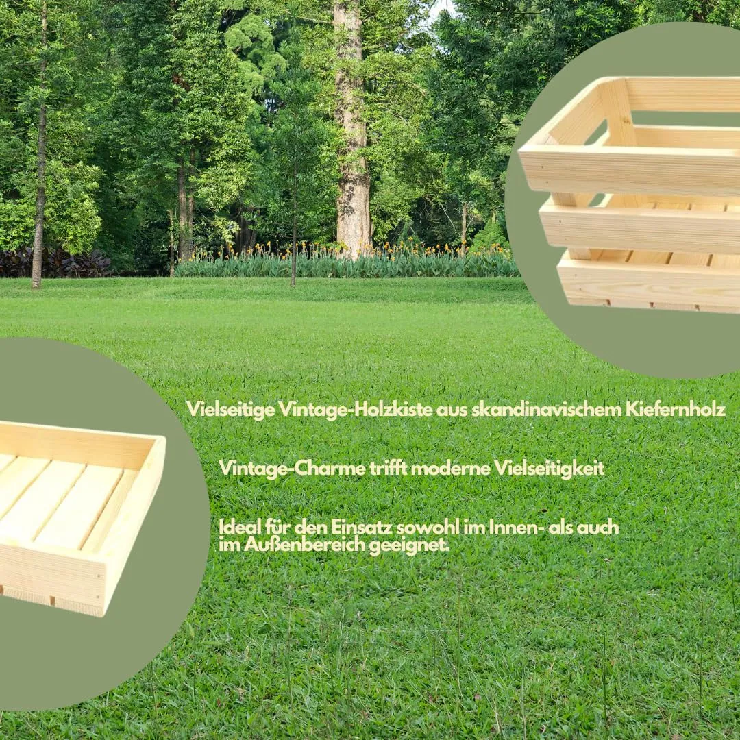 GoodFreshDecor Holzkiste Holzbox 30x15x6 cm unbehandelt