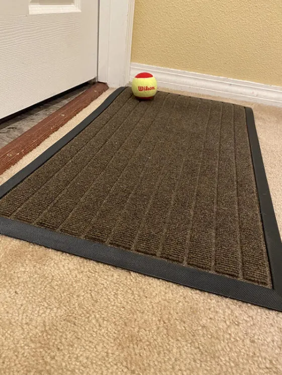 Lifewit Fußmatte Innen Grau 90x59 cm dünn rutschfest