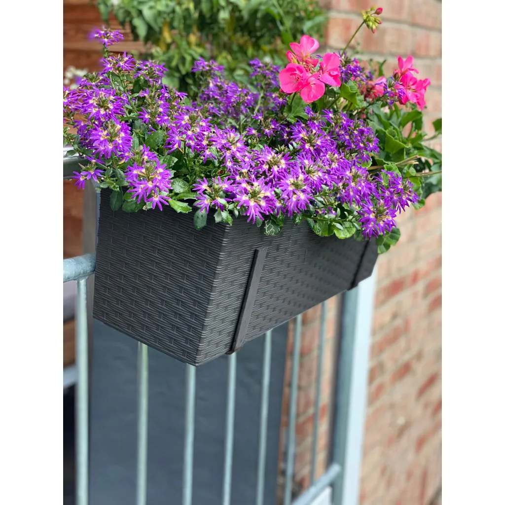 Kreher Begonia Balkonkasten Graphit 2 Stück 56 cm Rattan