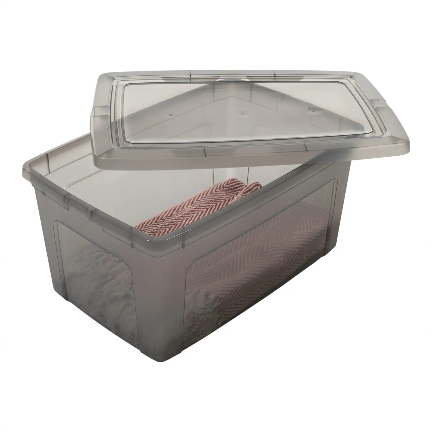 Iris Ohyama MCB-50 Aufbewahrungsbox 50L 5er-Set grau