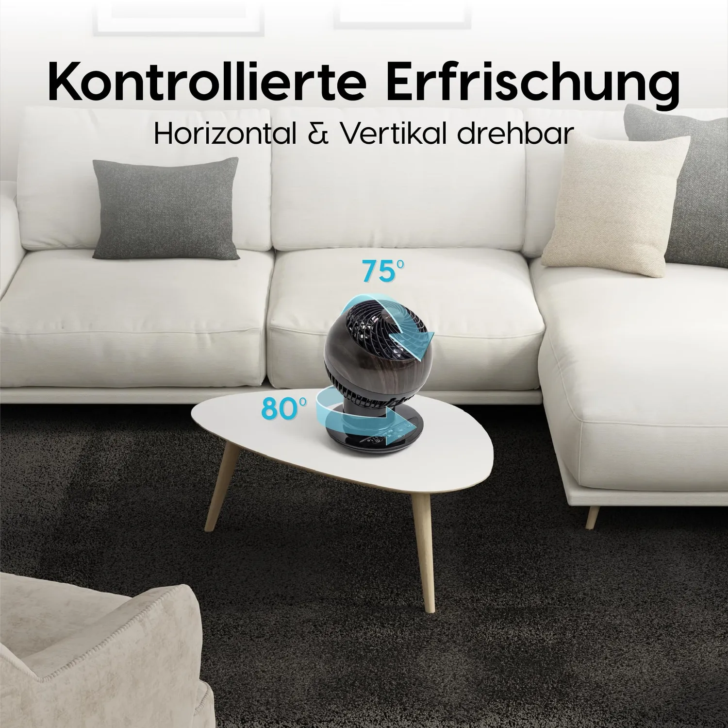 Iris Ohyama Woozoo PCF-SC15T Tischventilator Holz leise