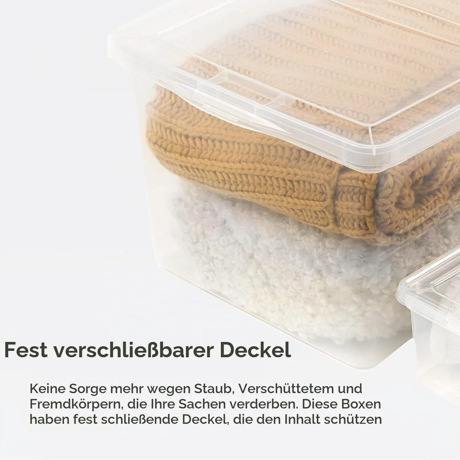 Iris Ohyama Aufbewahrungsbox 5L 10er-Set Transparent Deckel