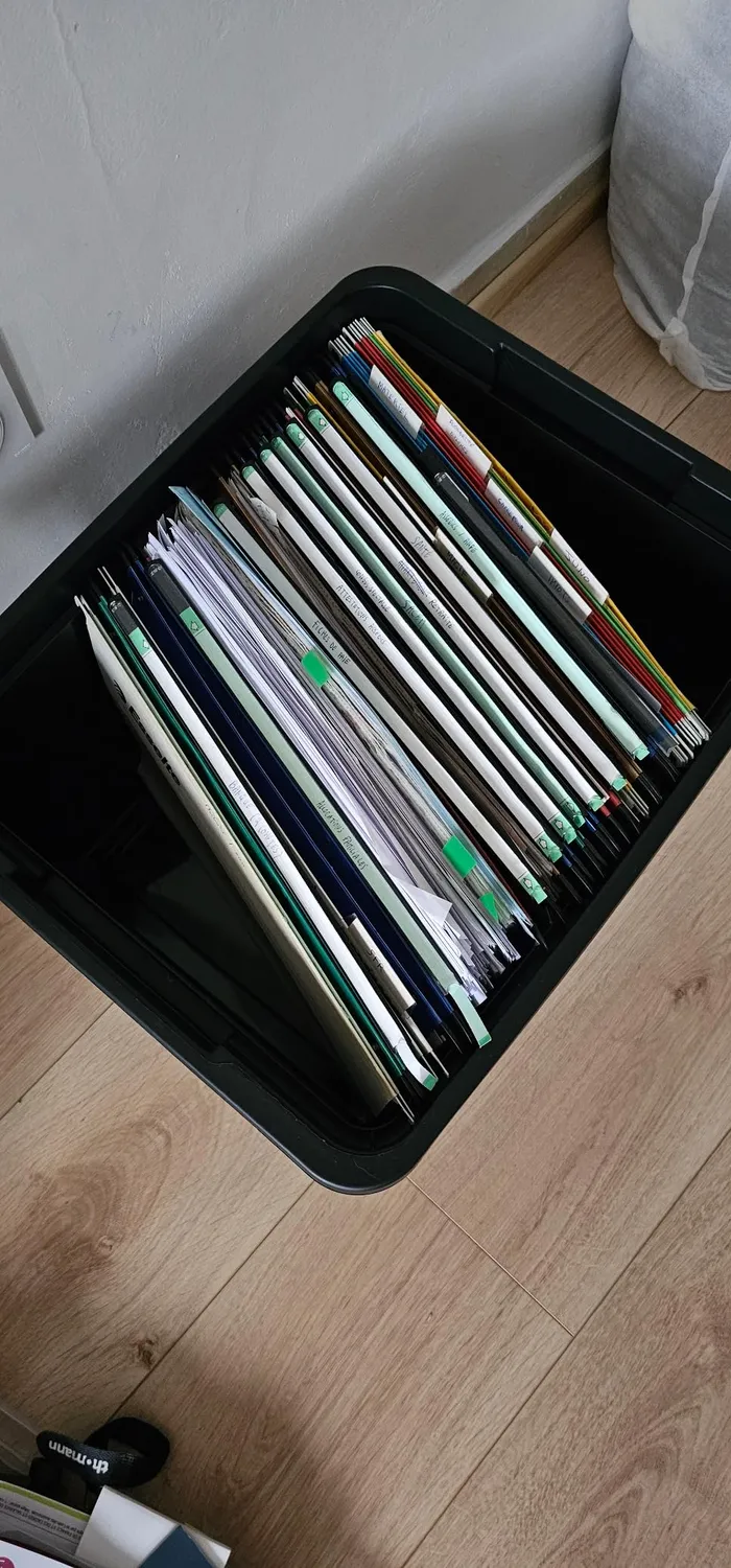 Iris Ohyama FB-21E Aufbewahrungsbox 45L 4er schwarz stapelbar
