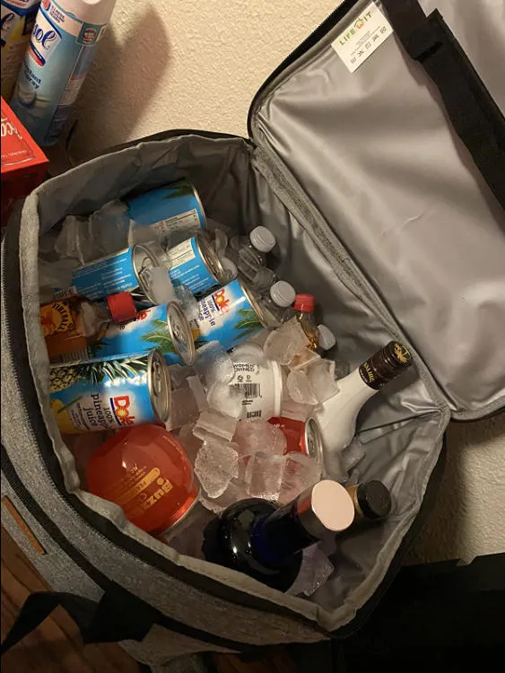 Lifewit Large Lunch Cooler Kühltasche 30L Grau isoliert