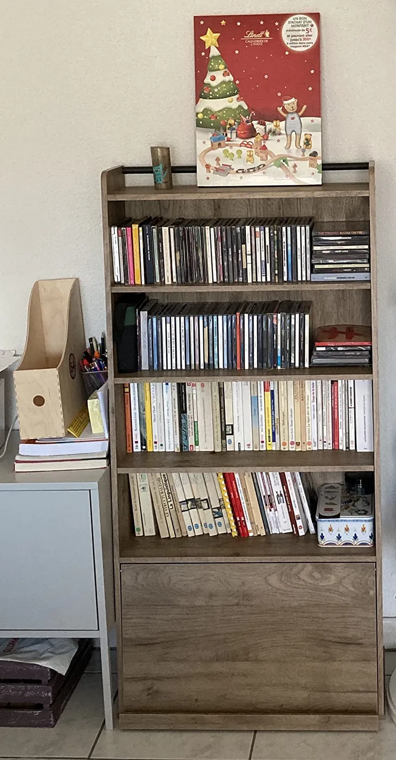 Iris Ohyama IWMG-5 Bücherregal aschbraun mit Klapptür