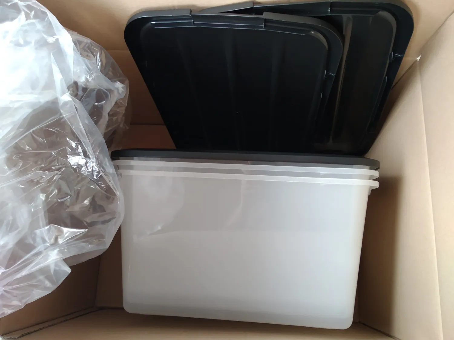 Iris Ohyama Aufbewahrungsbox 45L 3er-Set Schwarz Deckel