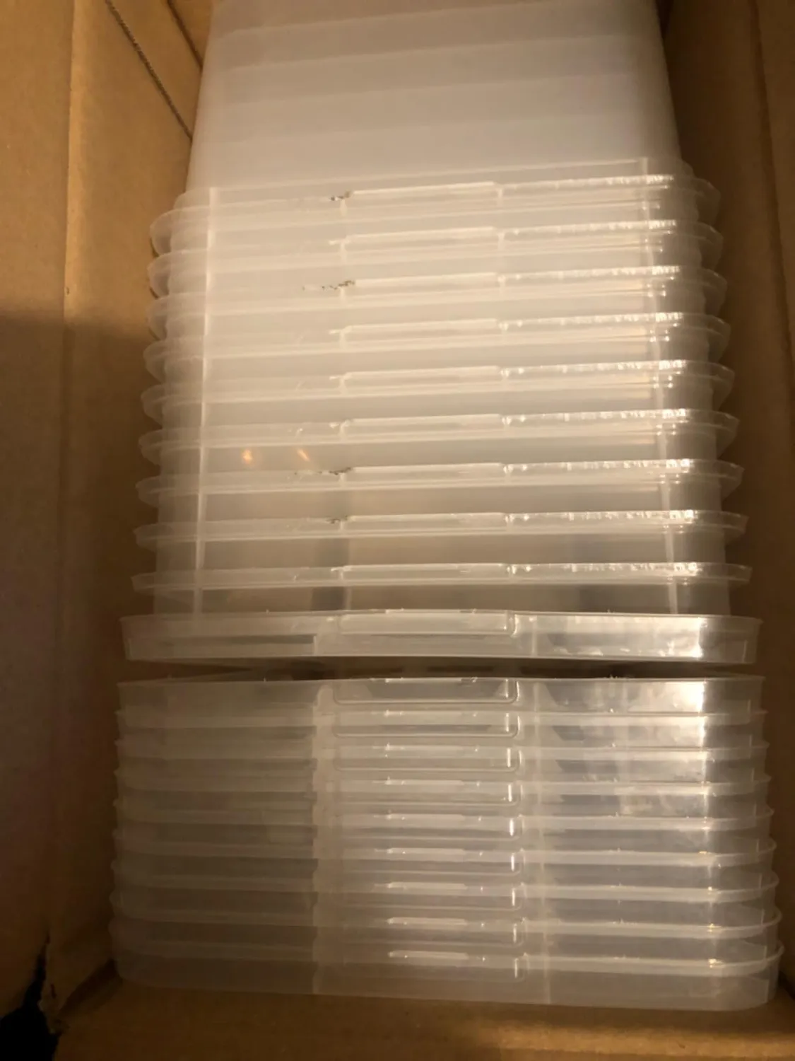 Iris Ohyama Aufbewahrungsbox 5L 10er-Set Transparent Deckel