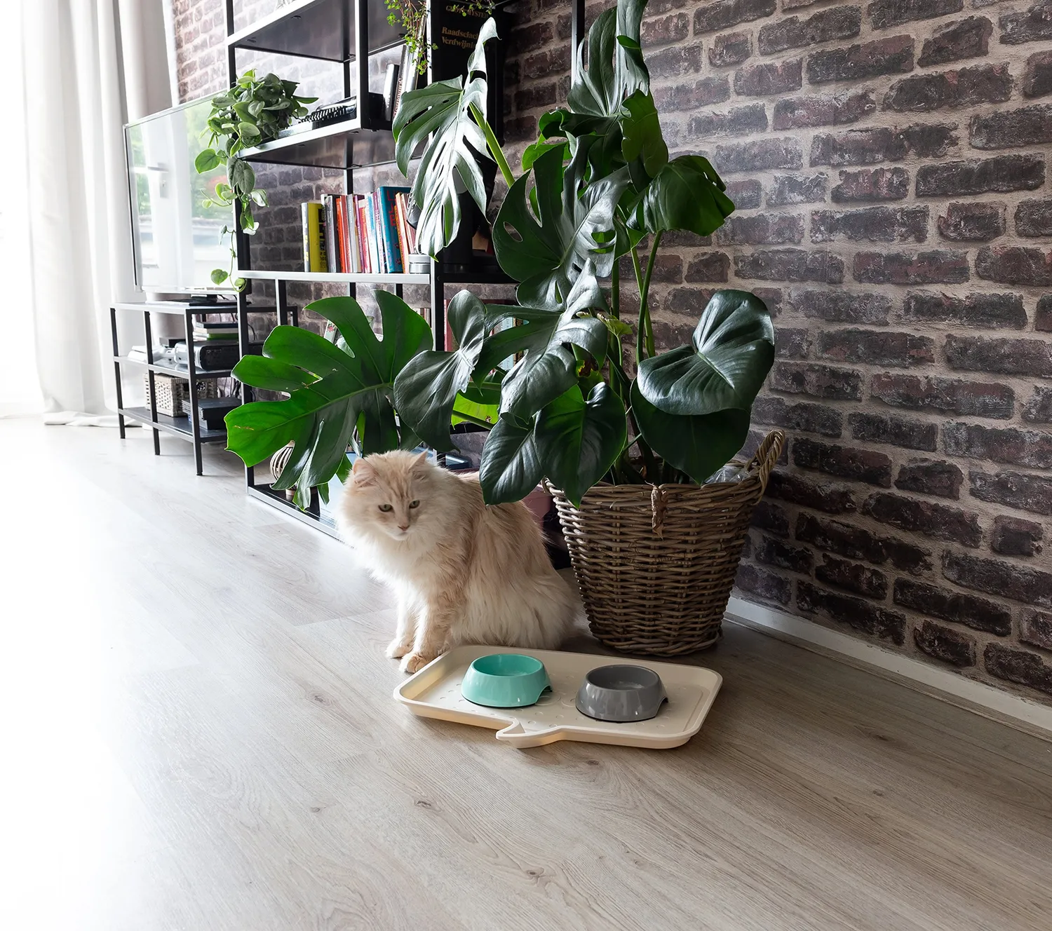 Iris Ohyama Woof M Futtertablett elfenbein rutschfest