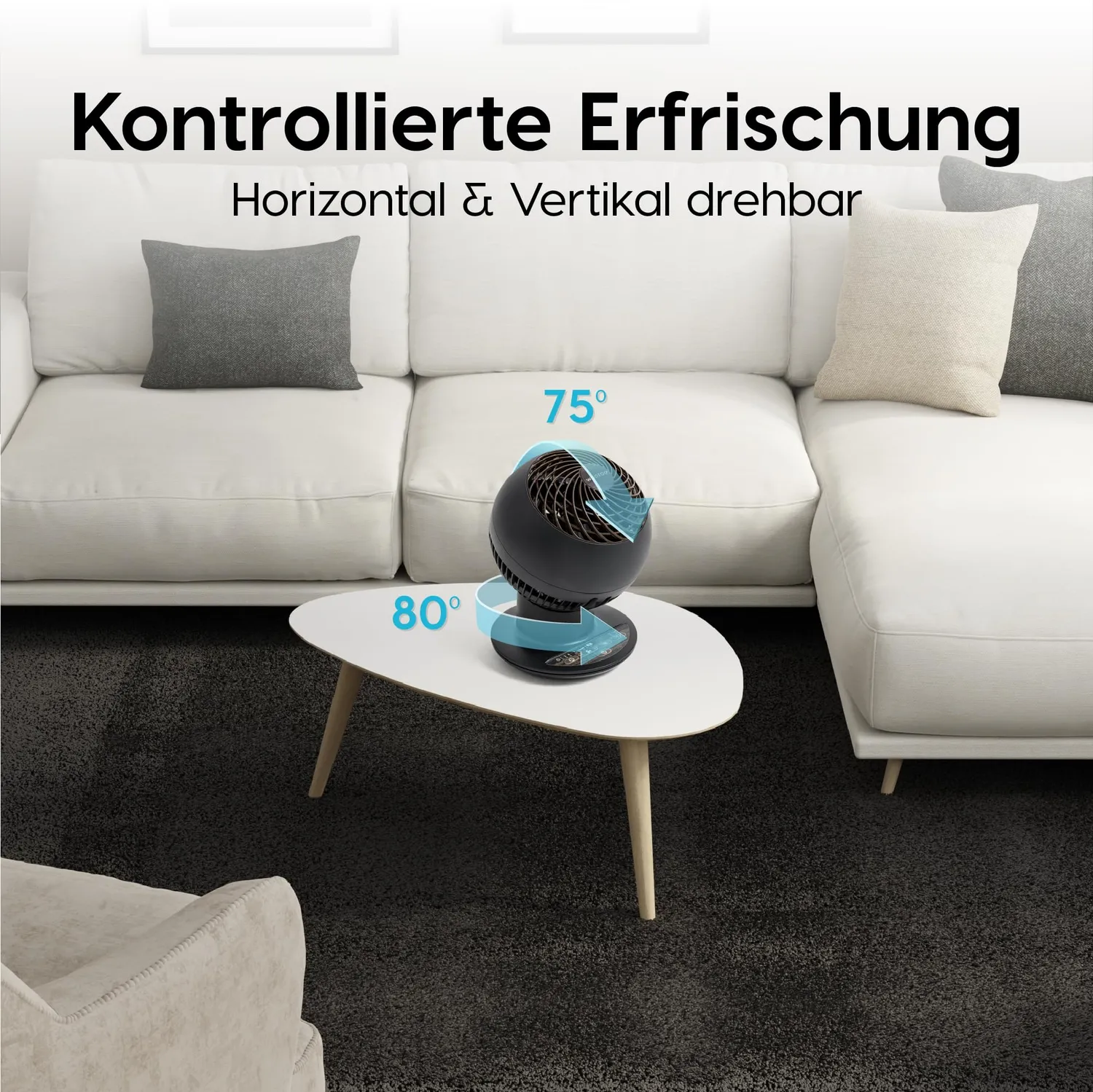 Iris Ohyama Woozoo PCF-SC15T Tischventilator Schwarz