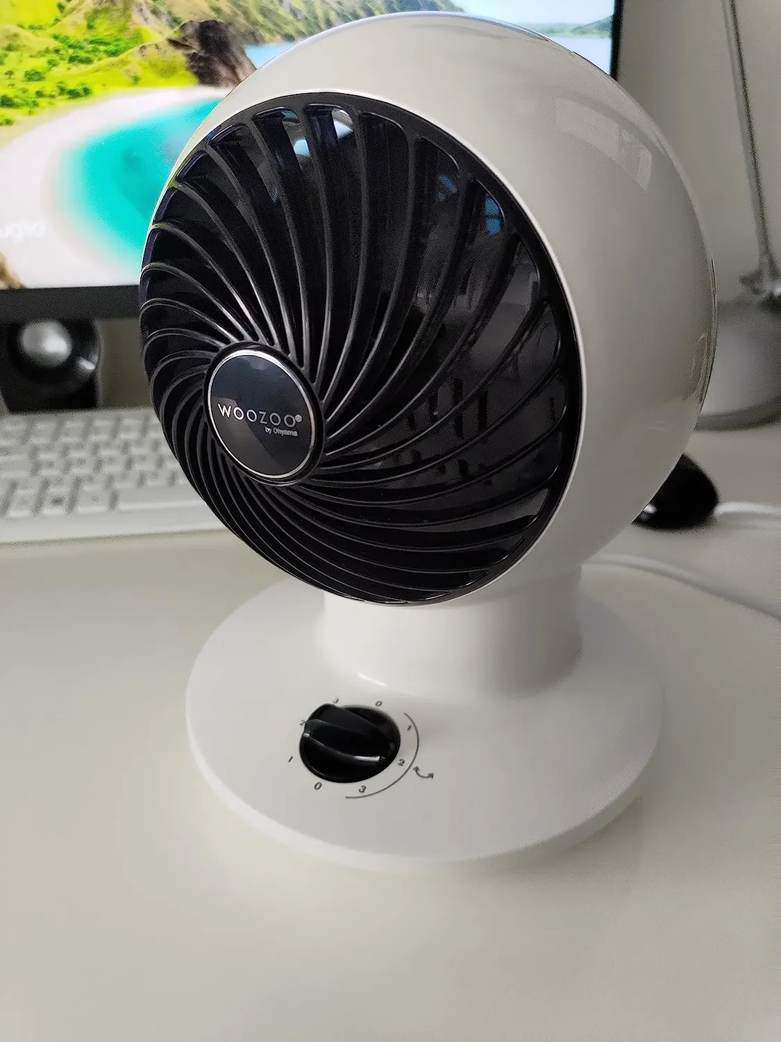 Iris Ohyama Woozoo PCF-SM12 Tischventilator weiß oszillierend leise