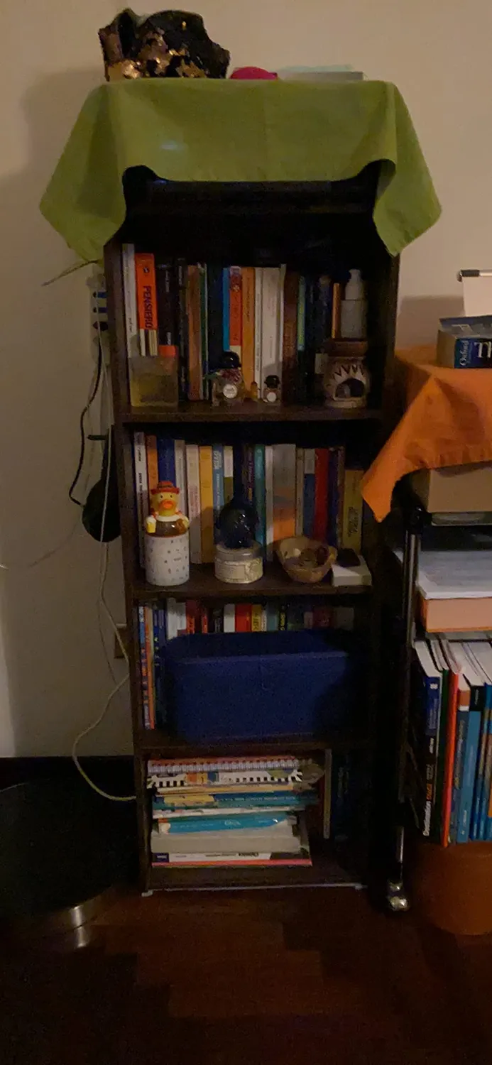 Iris Ohyama CX-4 Bücherregal Braun 4 Böden 40cm
