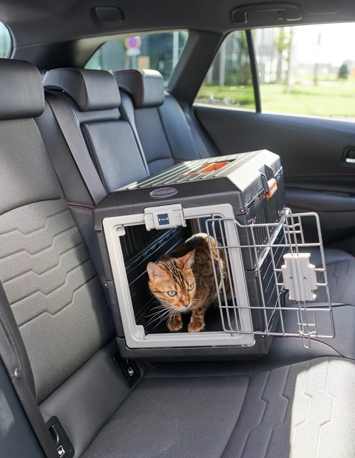 Iris Ohyama FC-550 Transportbox Katze Hund S 55x31,5x36,4 schwarz