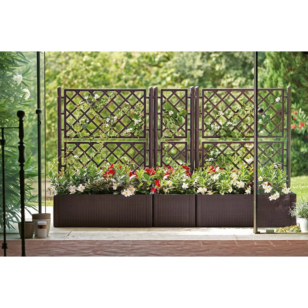 Kreher Rattan Spalier schmal 2er-Set Anthrazit 142 cm