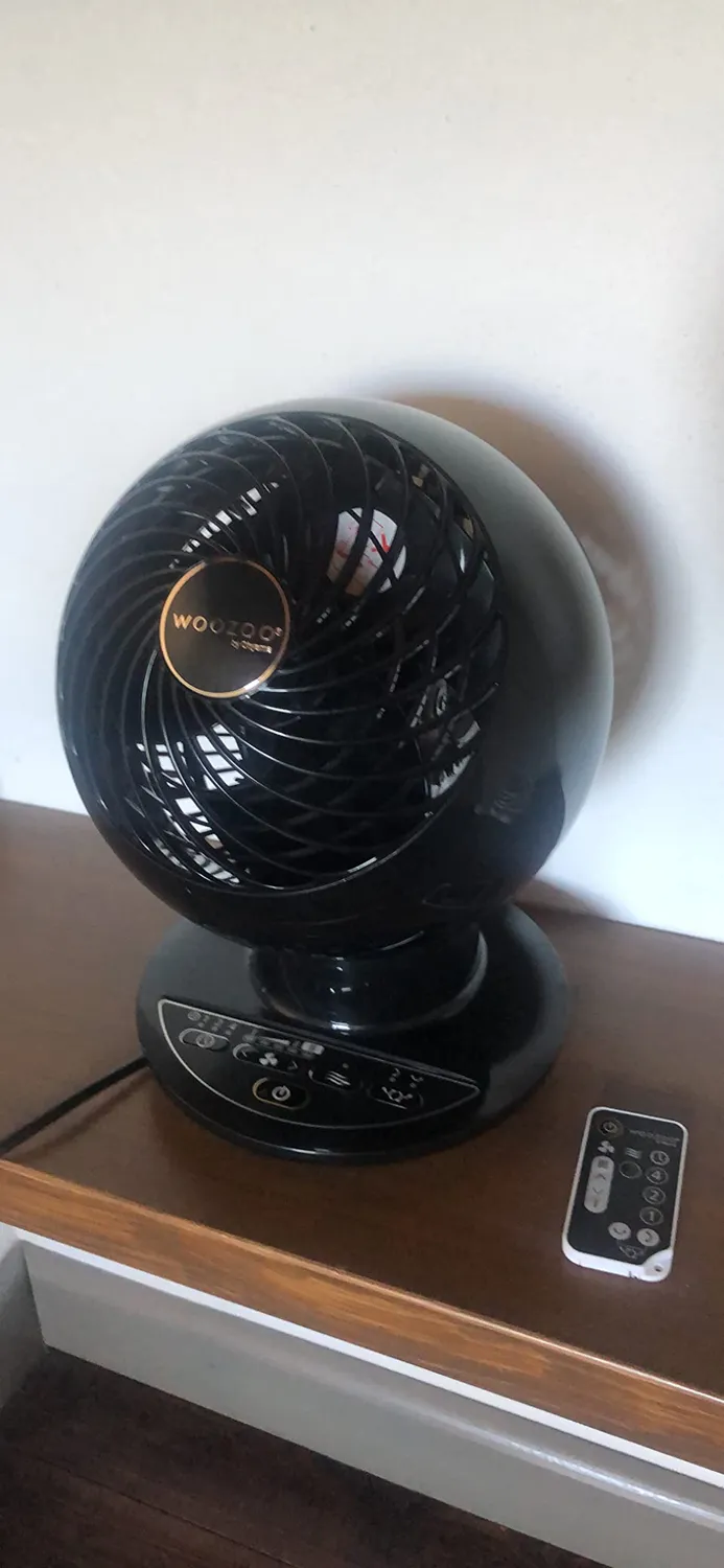 Iris Ohyama Woozoo PCF-SC15T Tischventilator schwarz 30m²