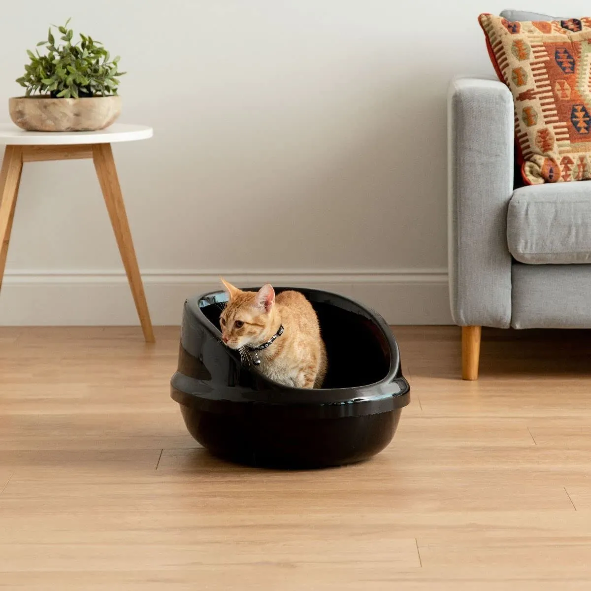 Iris Ohyama PNE-500H Katzentoilette Schwarz offen mit Schaufel