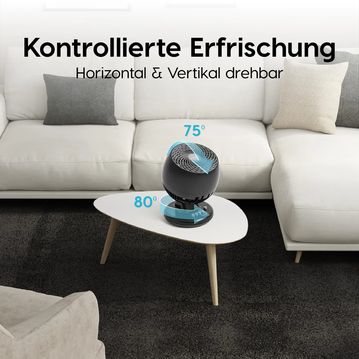 Iris Ohyama Woozoo PCF-M18 Tischventilator schwarz 23 m² leise