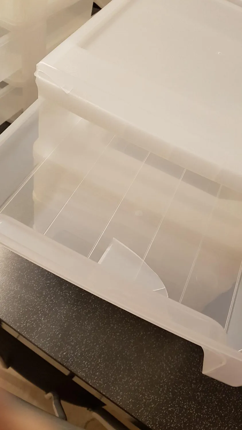 Iris Ohyama Organizer Chest OCH-2030 Schubladenbox transparent 3x4L