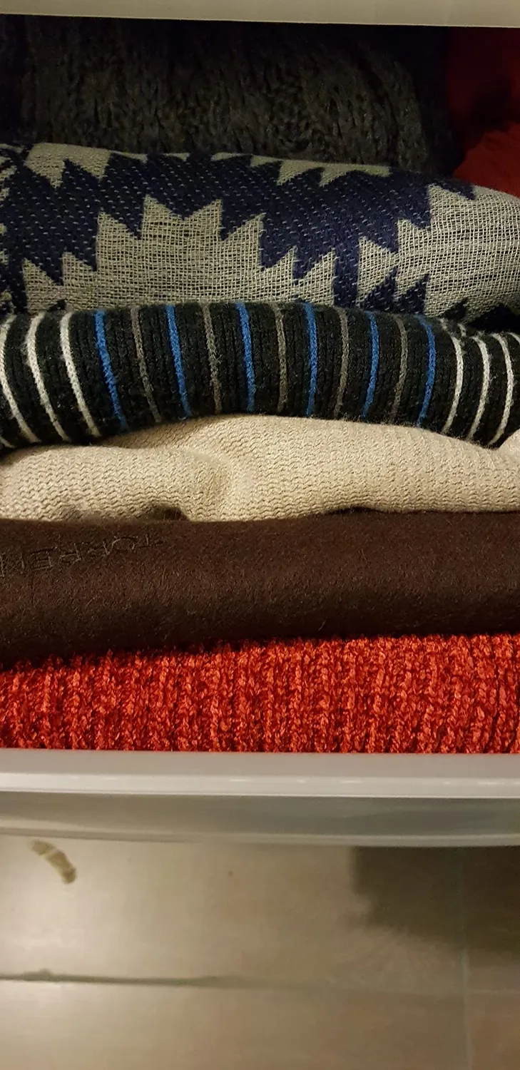 Iris Ohyama Maxi Drawer L Schublade 40L gefrostet weiß stapelbar