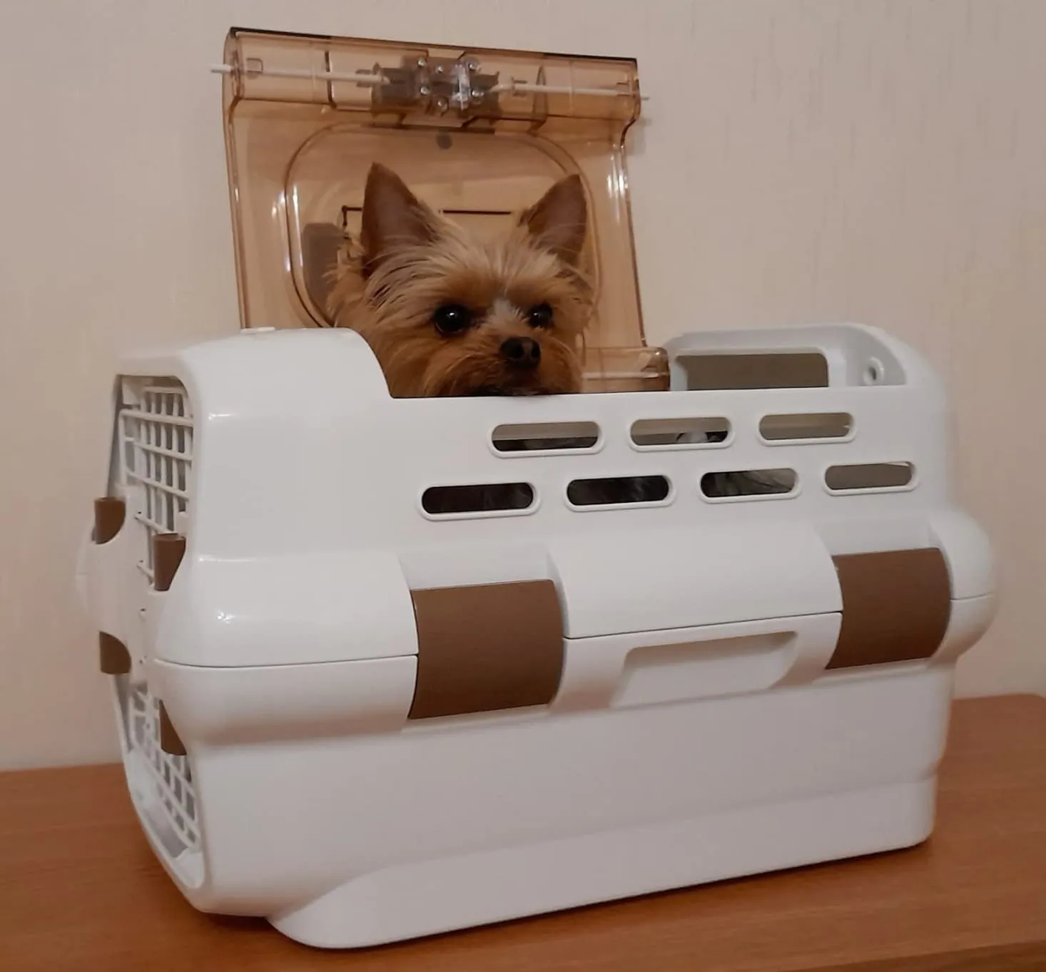 Iris Ohyama FC-550 Transportbox Katze Hund S 55x31,5x36,4 schwarz