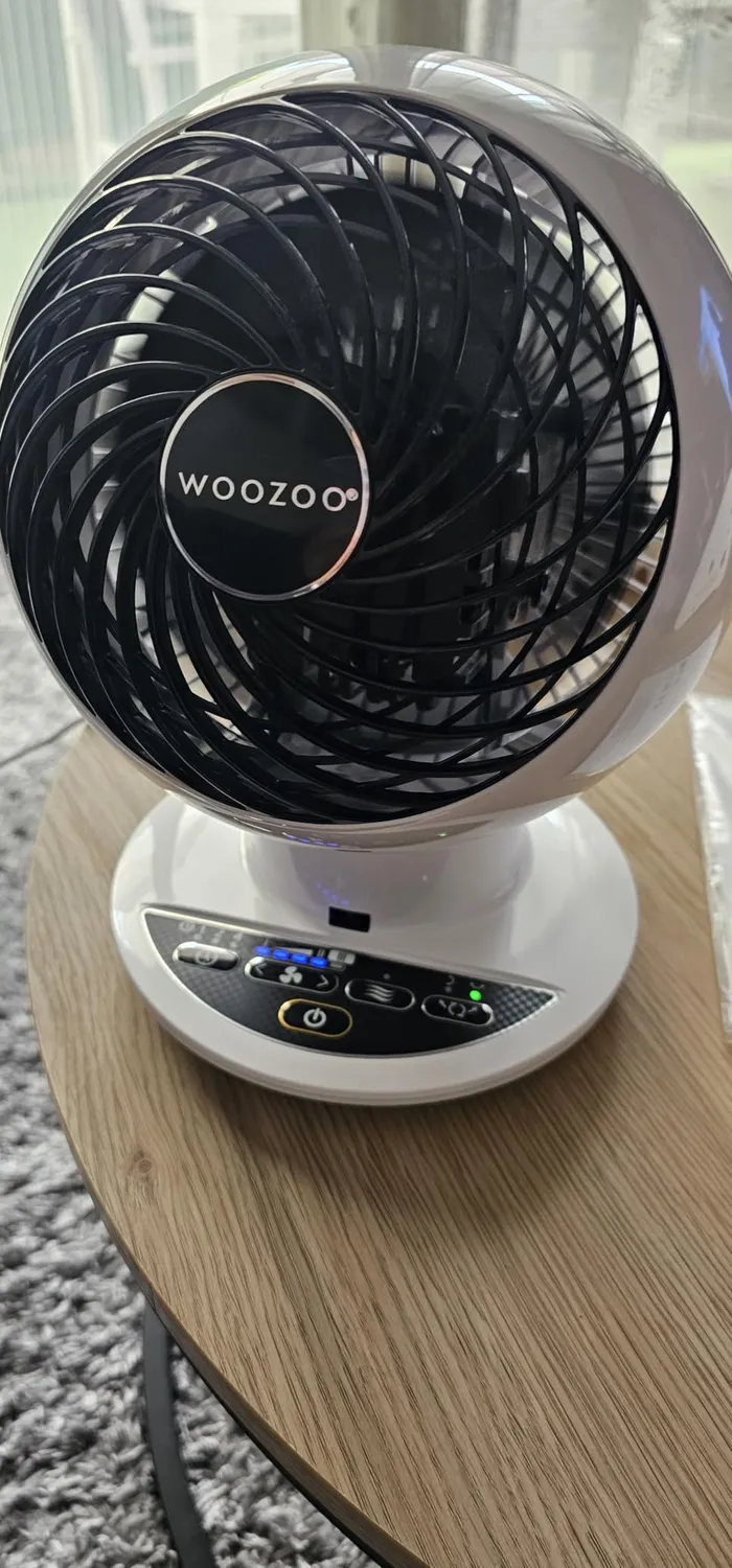 Iris Ohyama Woozoo PCF-SC15T Tischventilator Holz leise