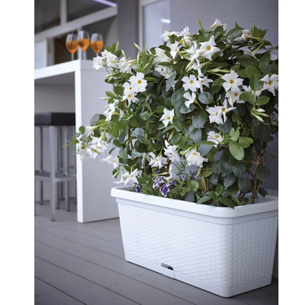 Kreher Rattan-Optik 80 cm Blumenkasten Weiß rollbar Wasserspeicher