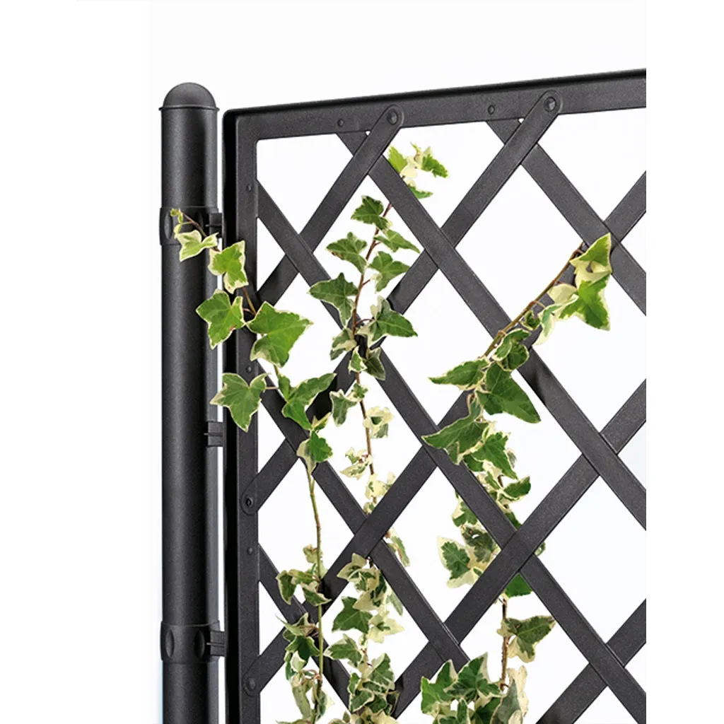 Kreher Rattan Spalier schmal 2er-Set Anthrazit 142 cm