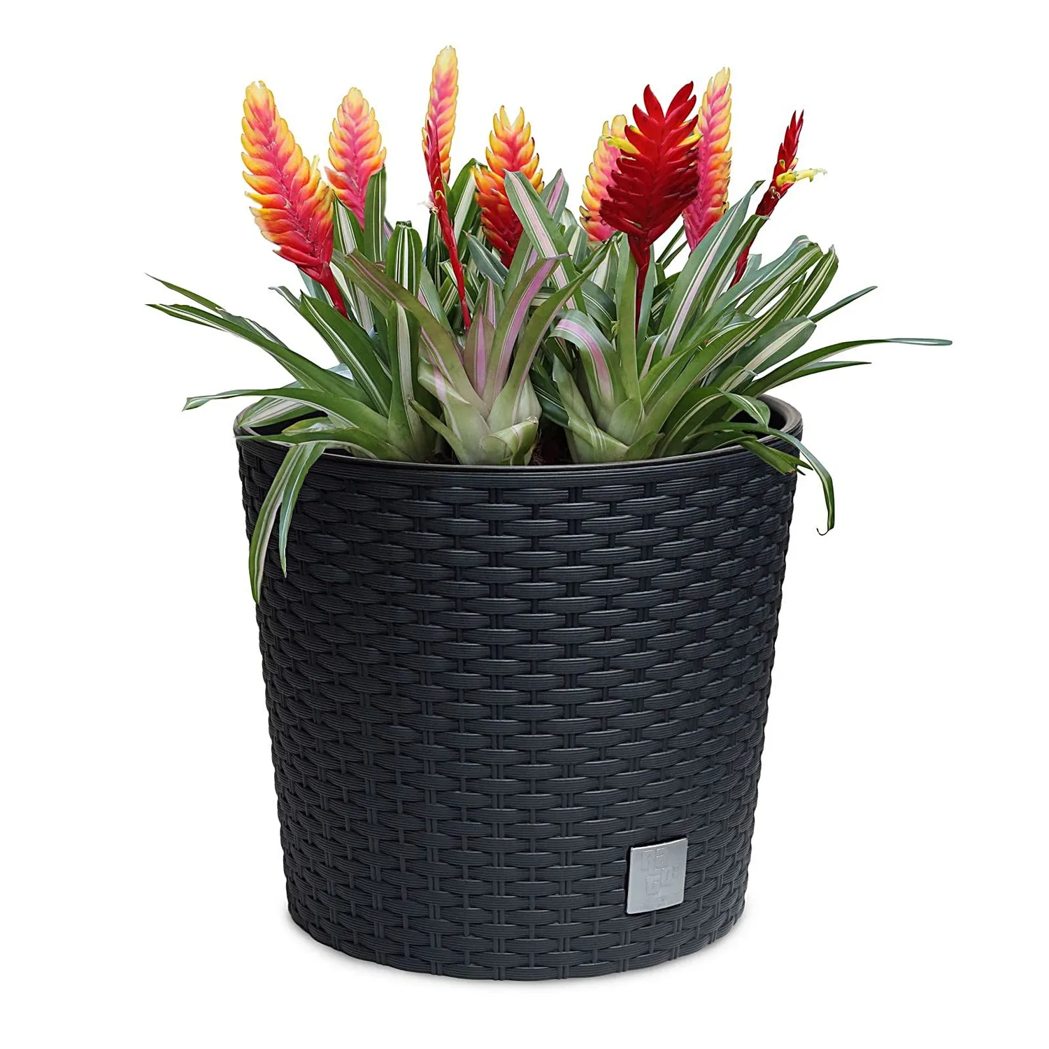astor24 Blumentopf Rattan-Optik 20 cm schwarz mit Einsatz