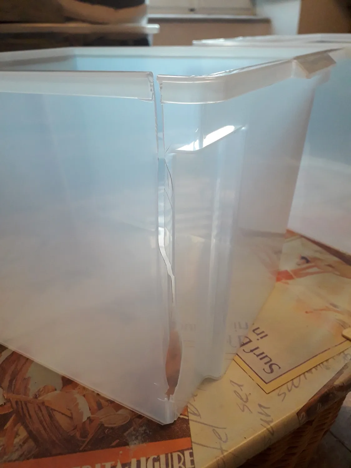 Iris Ohyama USB-M Aufbewahrungsbox 30L 6er Set transparent