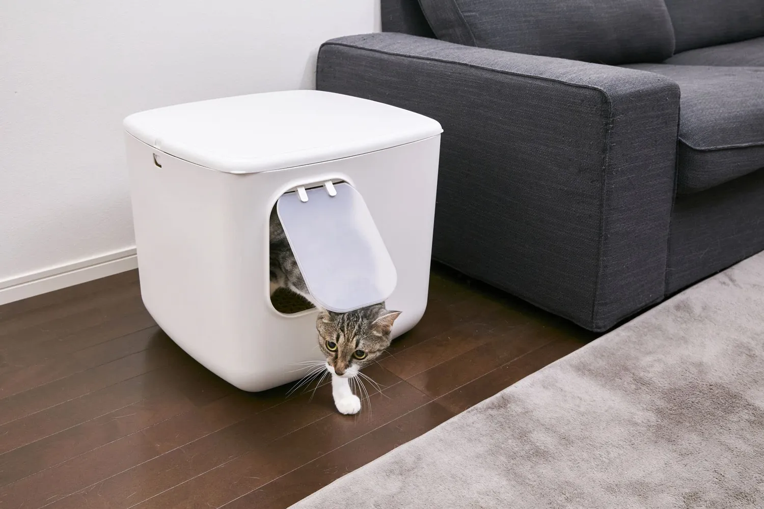 Iris Ohyama CCLB-500 Katzentoilette Weiß Beige geschlossen