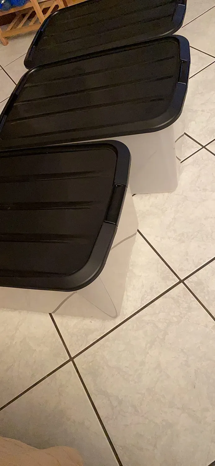 Iris Ohyama Aufbewahrungsbox 45L 3er-Set Schwarz Deckel
