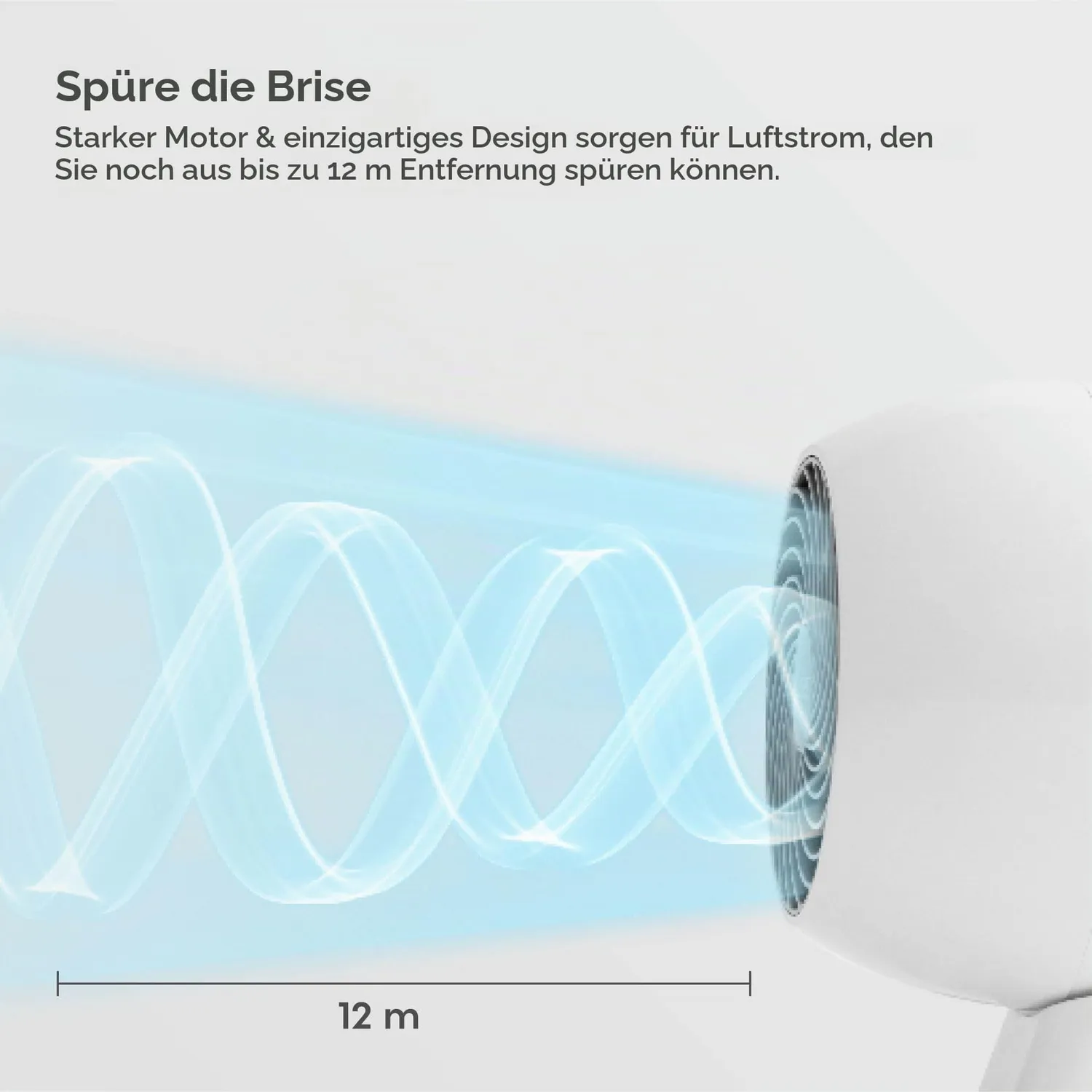 Iris Ohyama Woozoo PCF-M15 Tischventilator schwarz leise
