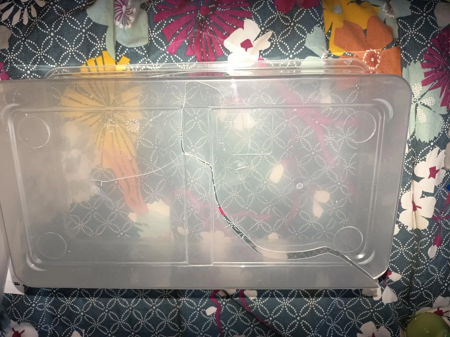 Iris Ohyama Aufbewahrungsbox 5L 10er-Set Transparent Deckel