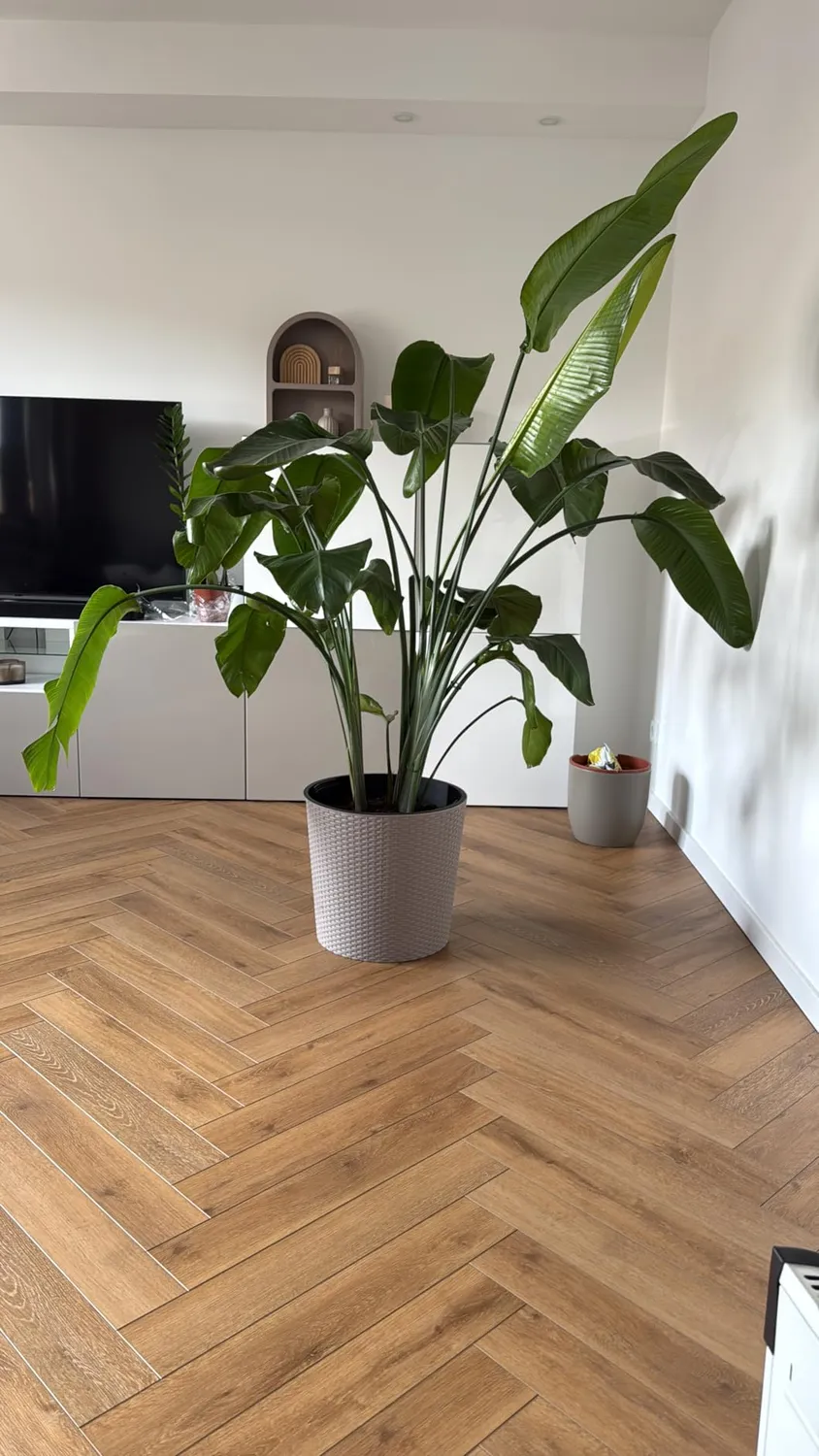 astor24 Blumentopf Rattan-Optik 20 cm schwarz mit Einsatz