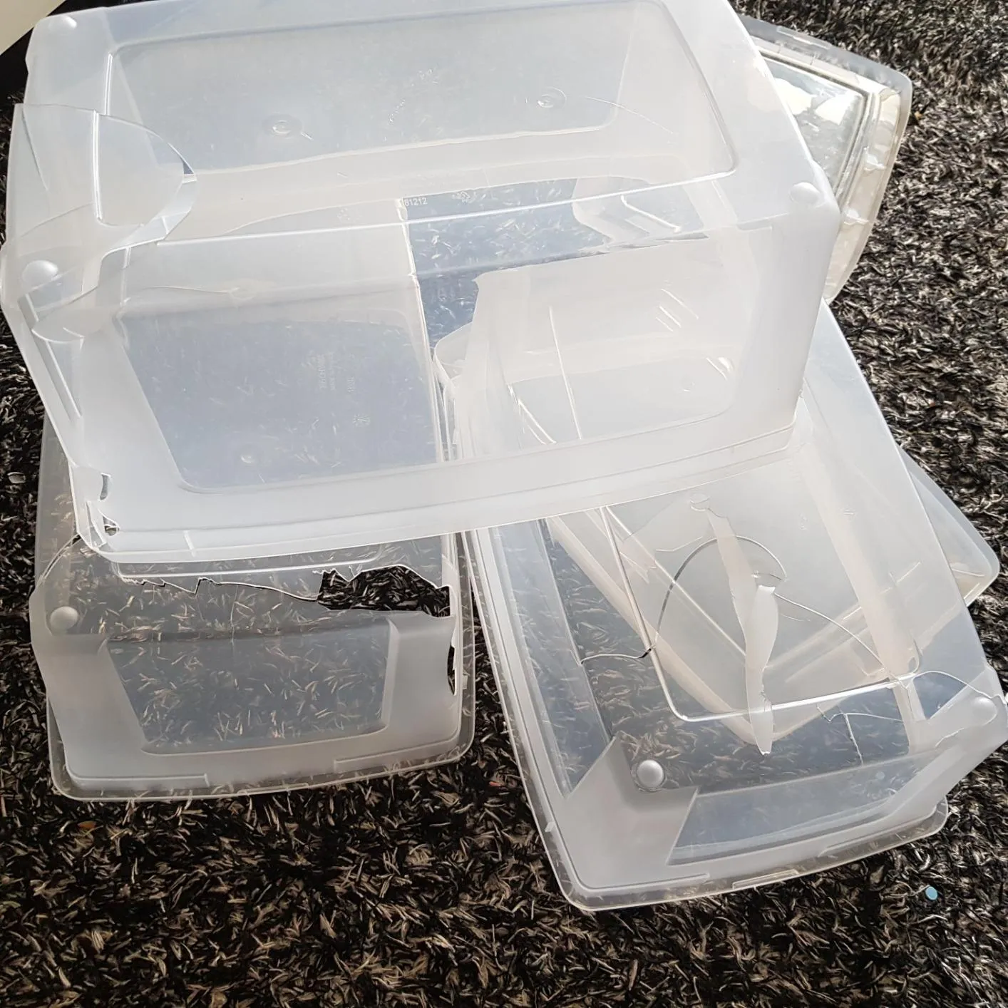 Iris Ohyama MCB-11 Aufbewahrungsbox Transparent 3x11L stapelbar