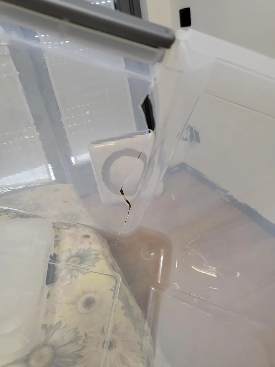 Iris Ohyama Top Box TB-45 Aufbewahrungsbox 45 L 4er-Set transparent