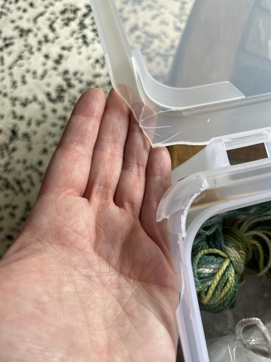 Iris Ohyama SBC-350 Kofferbox 10L Transparent BPA-frei
