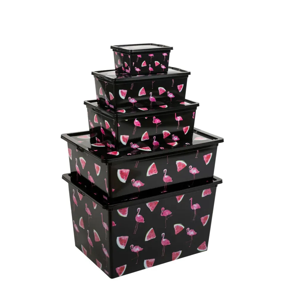 Kreher Boxen-Set Flamingo 5tlg. XS-XL mit Deckel Rollen
