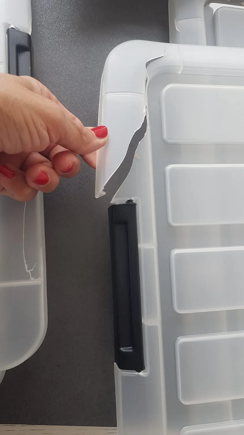 Iris Ohyama FBN-35 Archivbox 25L Transparent 4er