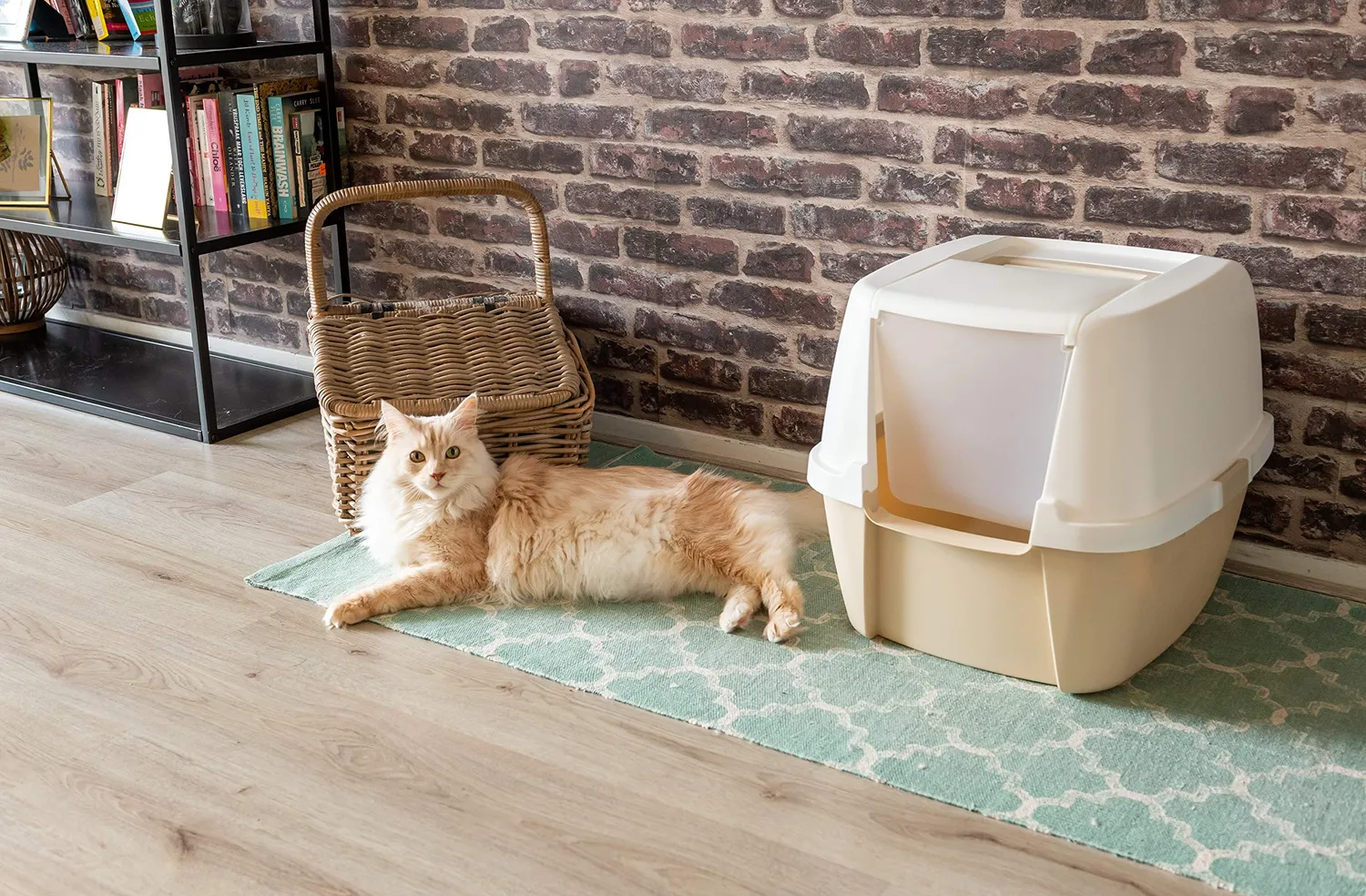 Iris Ohyama CLH-17J Katzenklo XXL Haube Jumbo Beige Haube