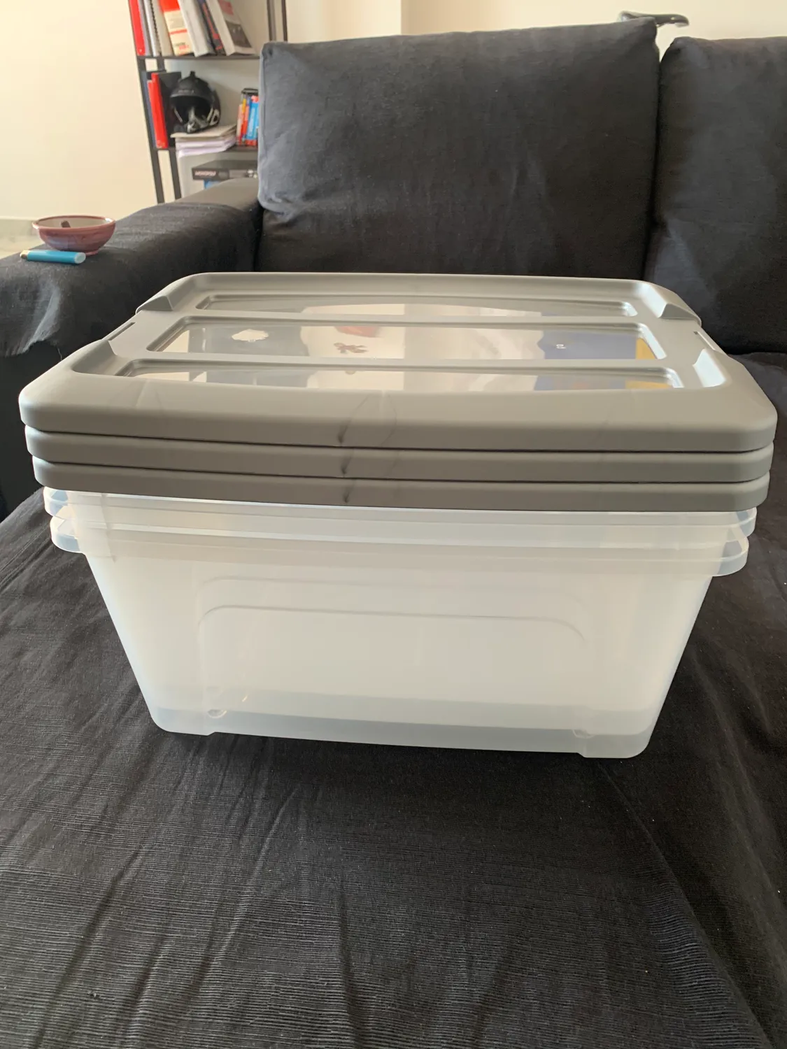 Iris Ohyama NTB-15 Aufbewahrungsbox 15L 6er silber mit Clips