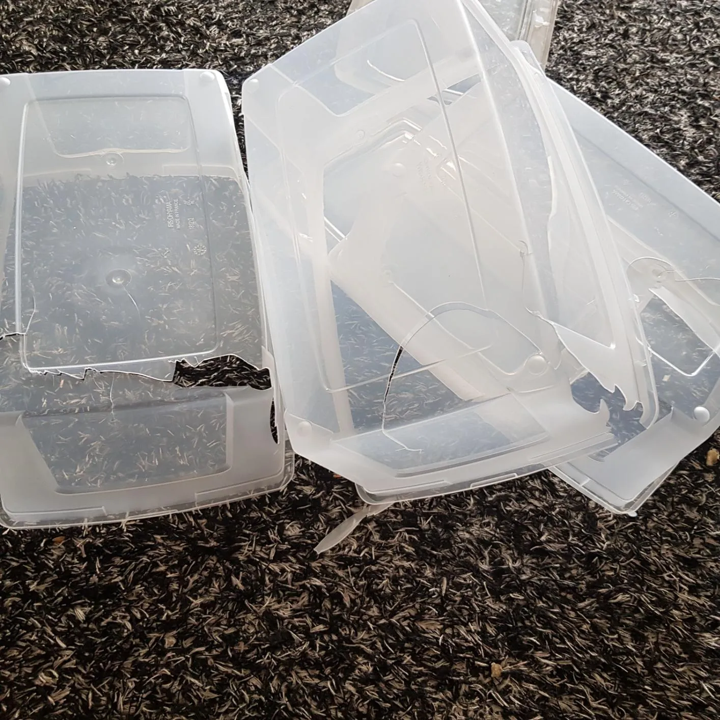 Iris Ohyama MCB-11 Aufbewahrungsbox Transparent 3x11L stapelbar